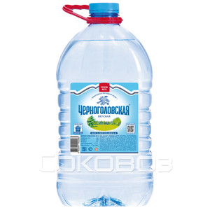 Вода Черноголовская 5 литров 2 штуки в упаковке